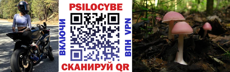 Псилоцибиновые грибы Psilocybine cubensis  продажа наркотиков  Шимановск 